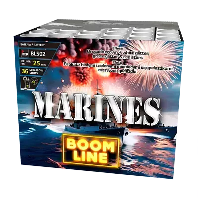 BL502 MARINES 
